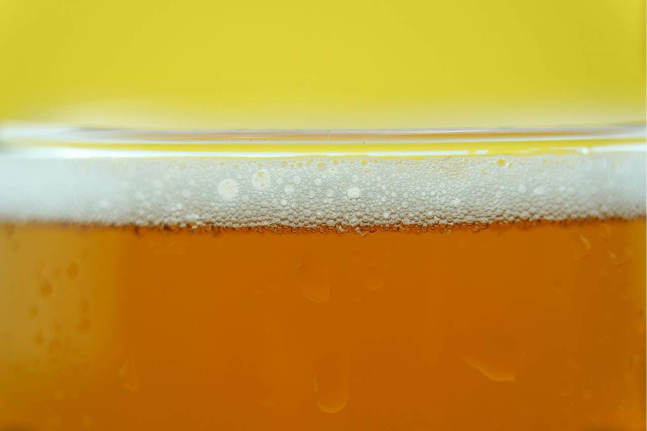 La mejor cerveza TuPonesElVaso: La cultura de cerveza Salitos