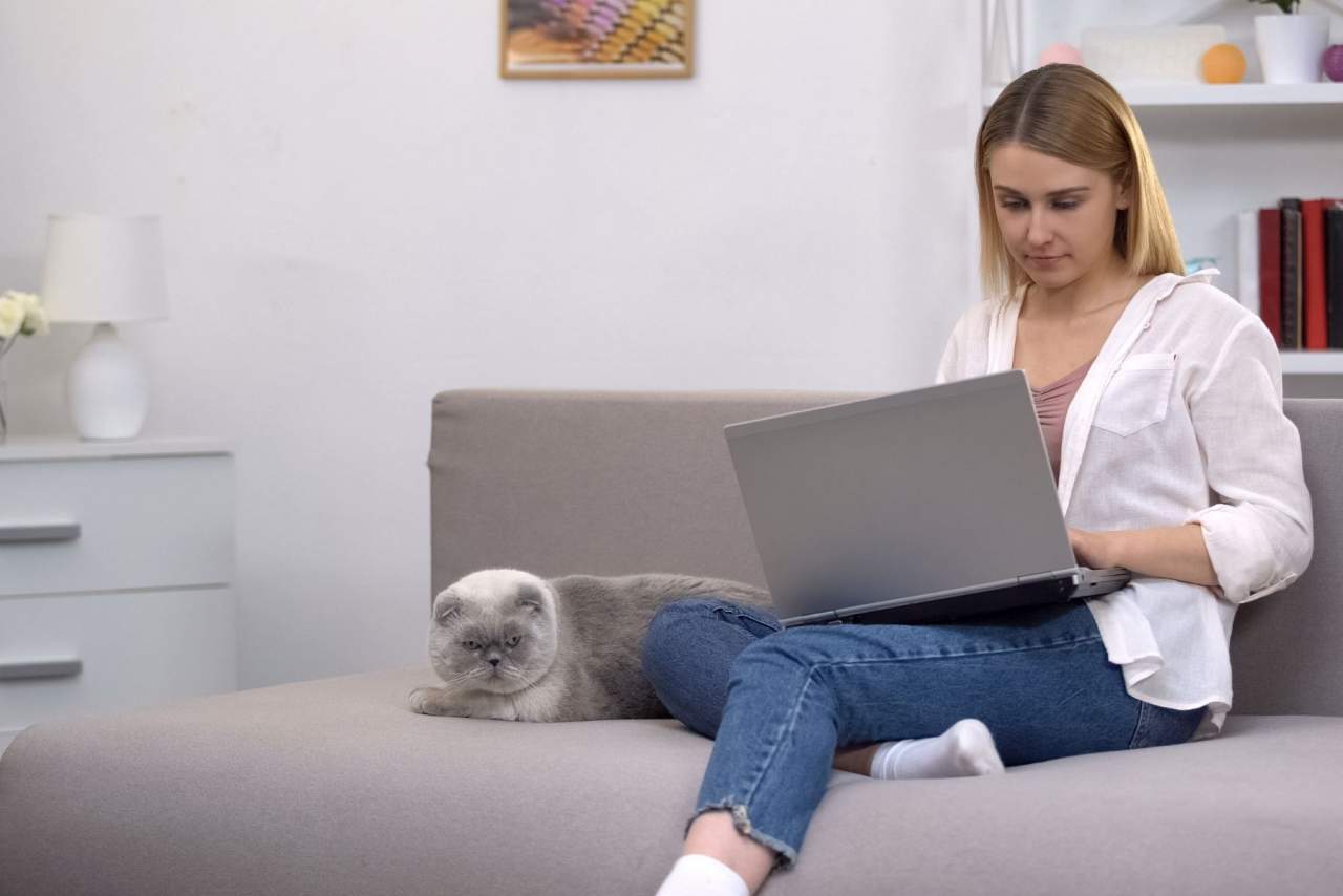 ¿Cómo ayuda el Software veterinario Petclinic en el día a día de las clínicas?