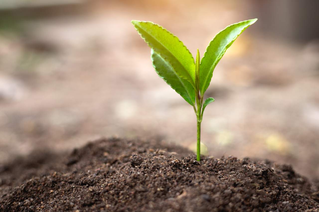 Jardineras que embellecen el hogar al alcance de todos por Zanvic