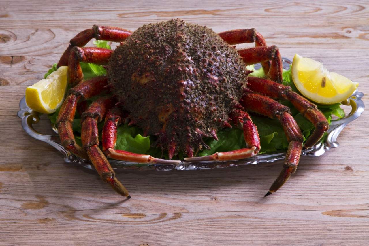 El mejor producto del mar en casa con Marisco Galego