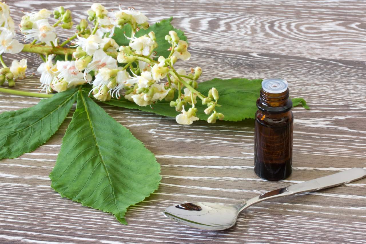 Terapia floral para vivir mejor, Flores de Bach