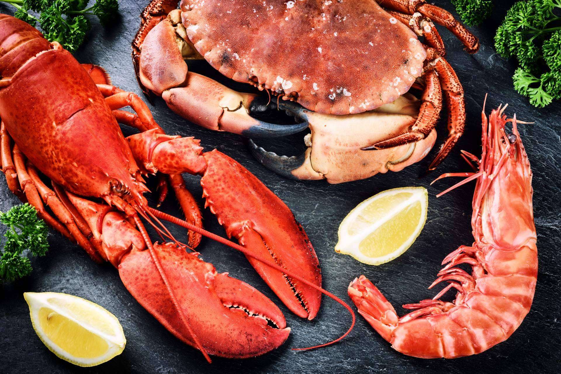 Consolidándose como una empresa referente en el sector, Marisco Galego plantea un servicio de venta de marisco para restaurantes