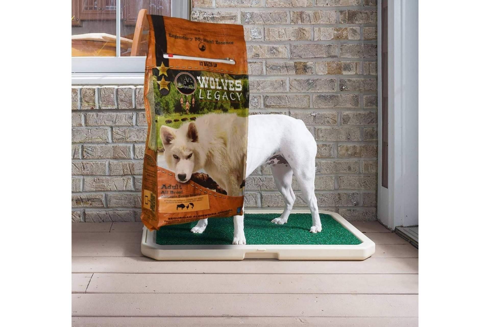 Los mejores piensos para perros: Wolves Legacy ¿Deberían ser variados?