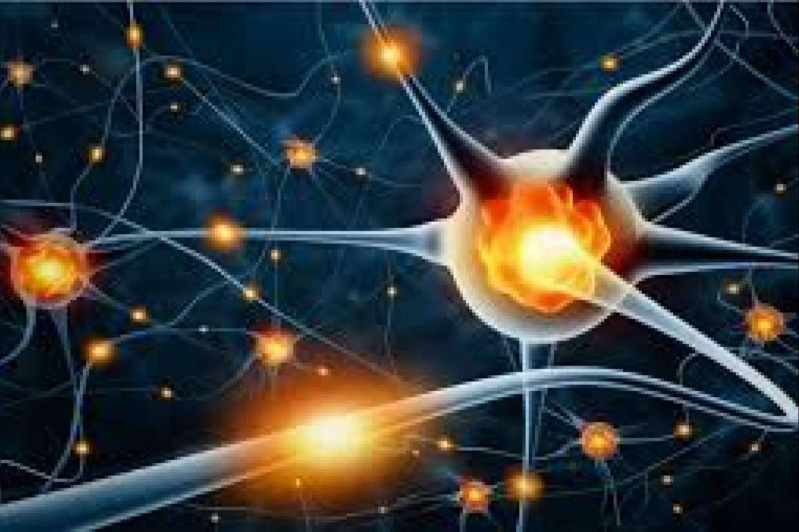 Según Agustín de la Luz, la creación de inteligencia artificial es una tarea complicada que requiere de conocimientos, cualificación y sobre todo talento, pero entender qué es la IA no es nada complicado