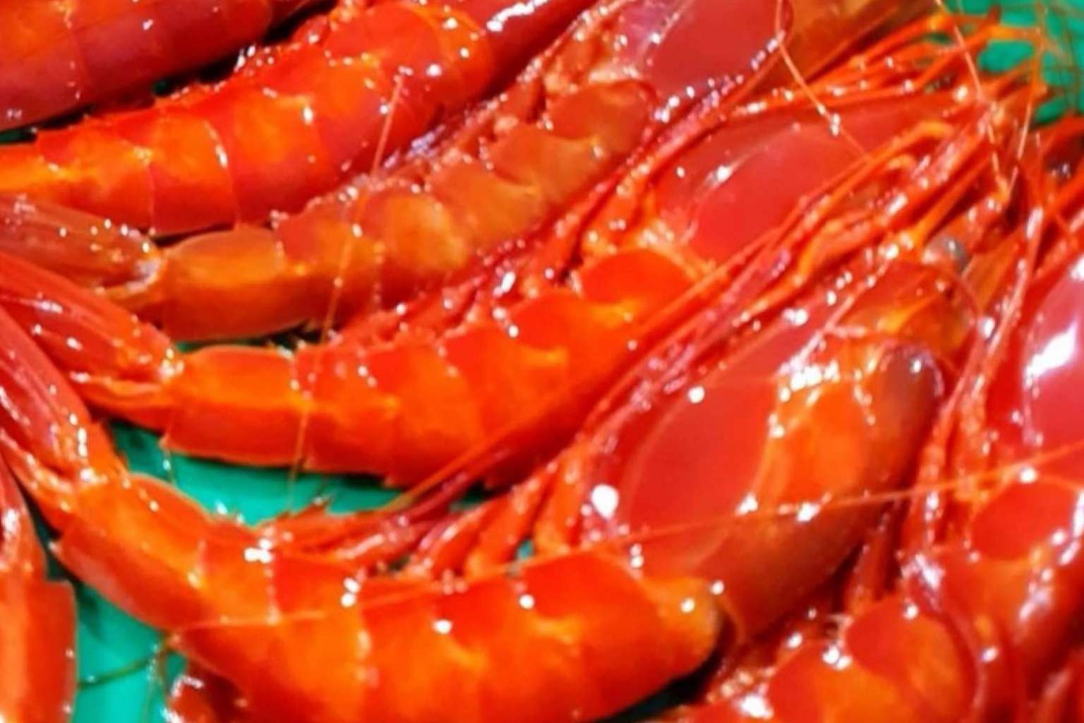 La base de una dieta equilibrada se encuentra en el pescado azul y el pescado blanco de Comprarpescadoonline