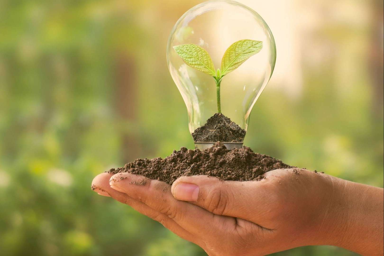 Cómo ahorrar en la factura de la luz siguiendo los consejos de Solvenup