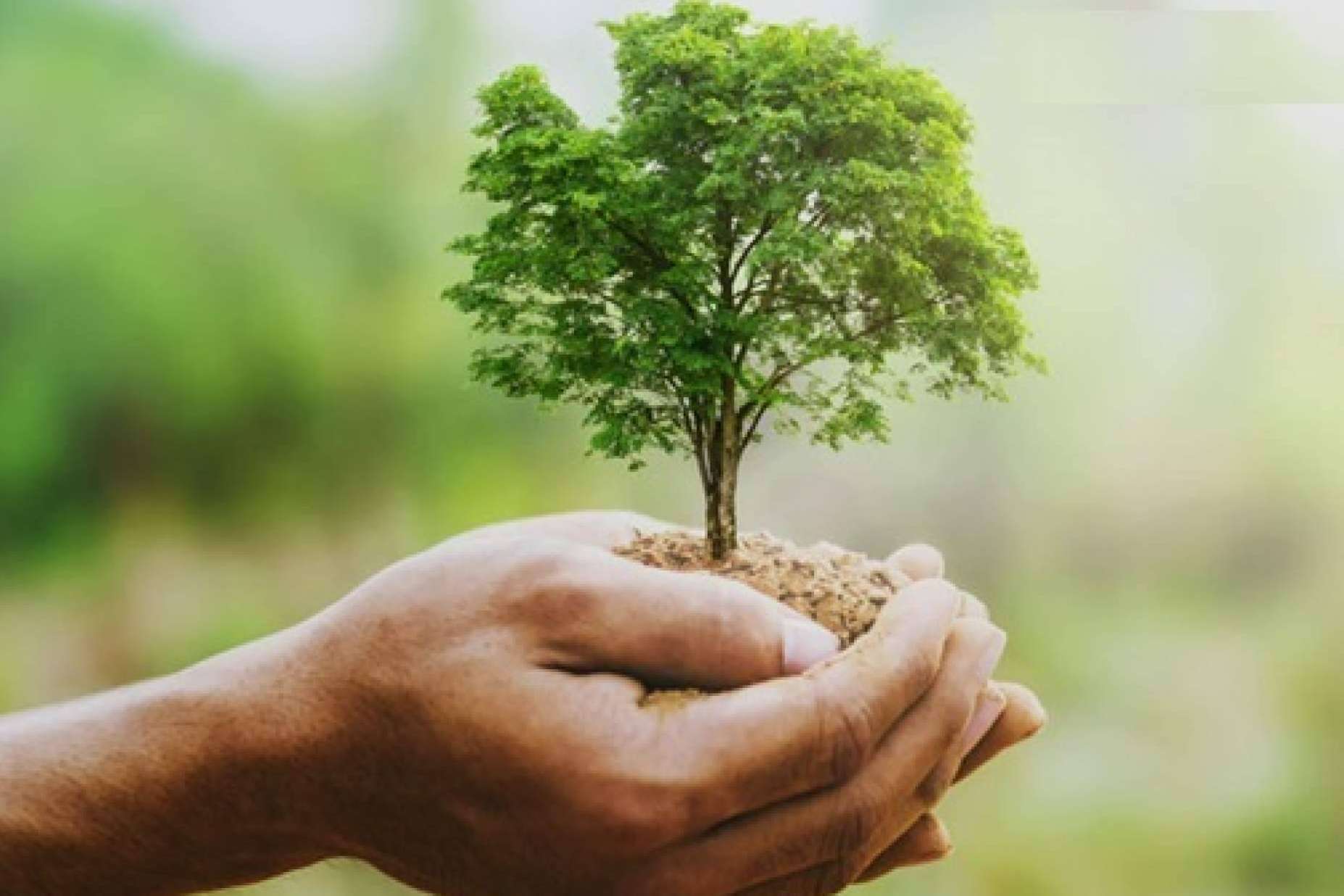 Eco Max 8 Automático, el equipo de desinfección 100% ecológico de la empresa española Ozonotec que se ha convertido en tendencia