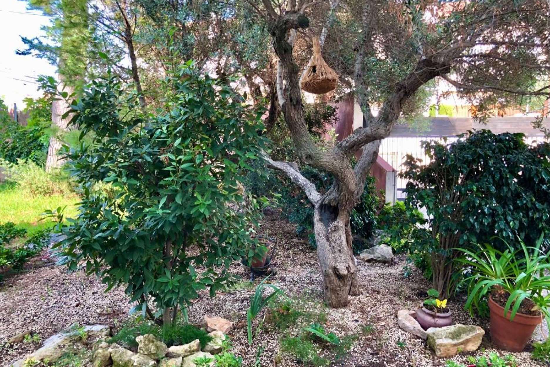 Mansión en venta cerca de la playa con jardín y piscina particular