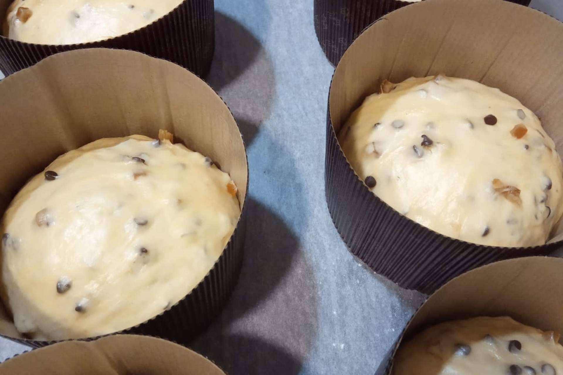 En Alicante, panettone artesanal de calidad y sabor único