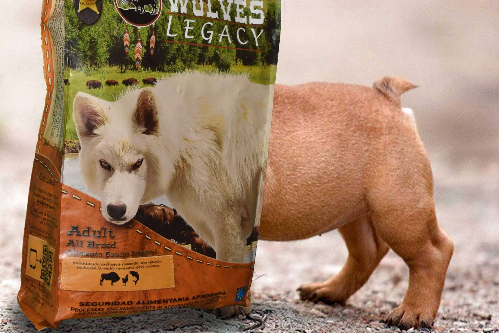 El método para evaluar los mejores piensos para perros