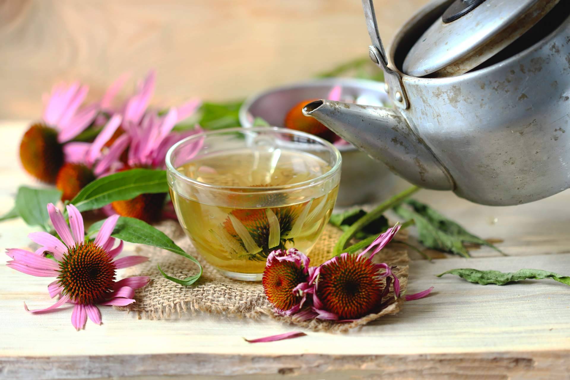 Replantea expone los beneficios de las infusiones ecológicas
