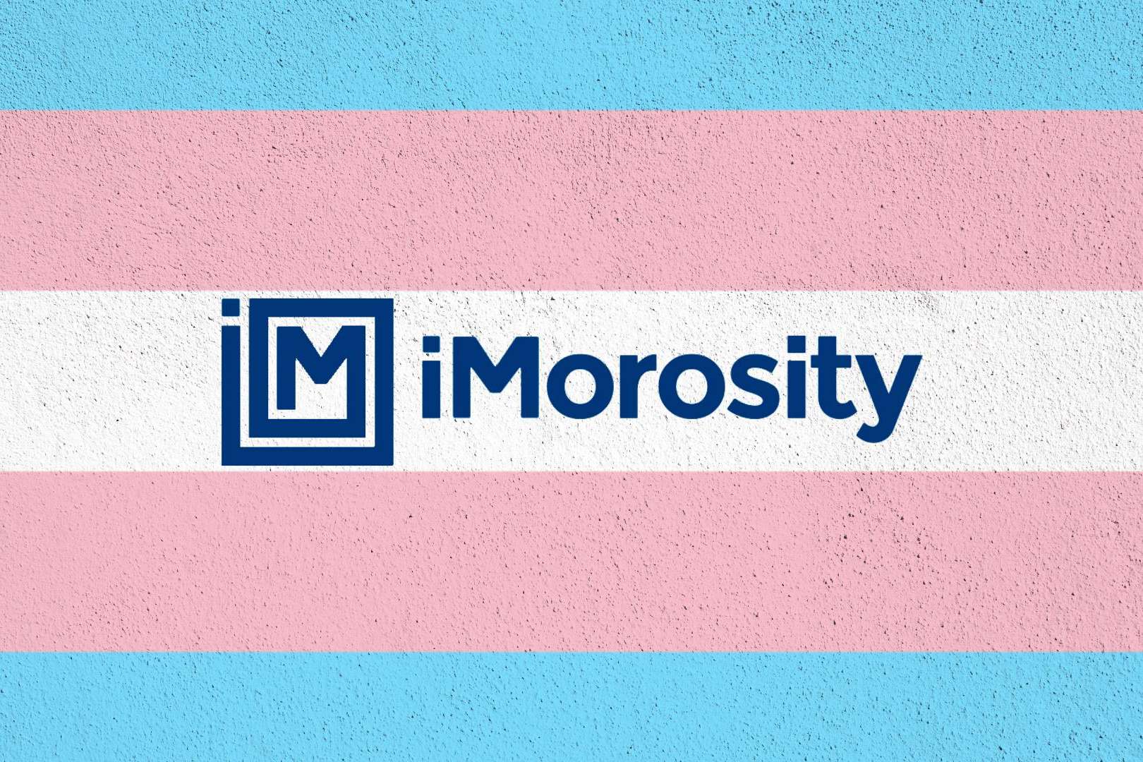 iMorosity apuesta por la diversidad haciéndose colaborador de la Asociación Home of Trans