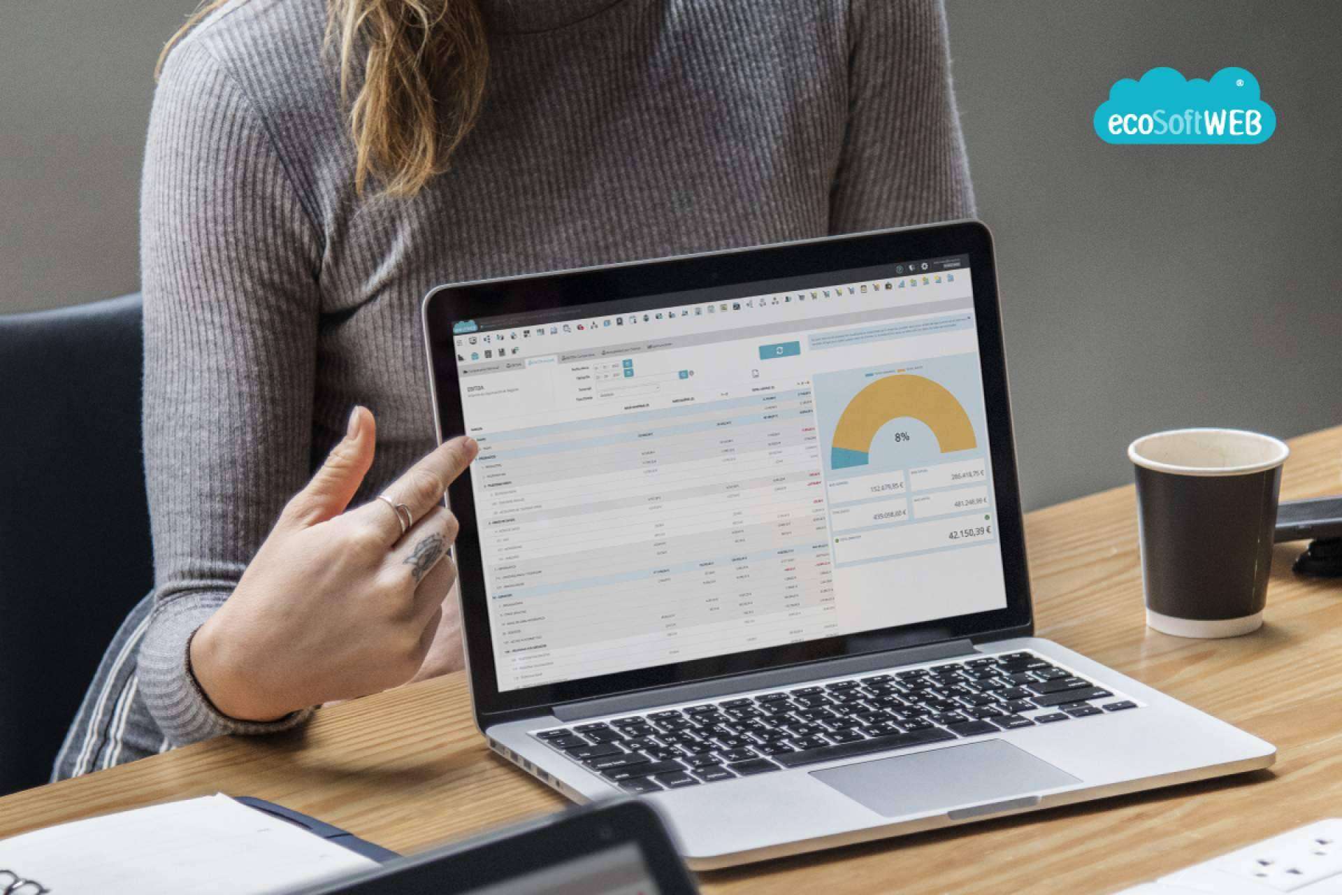 Tener una visión global de la progresión de una empresa en tiempo real gracias a ecoSoft Consulting
