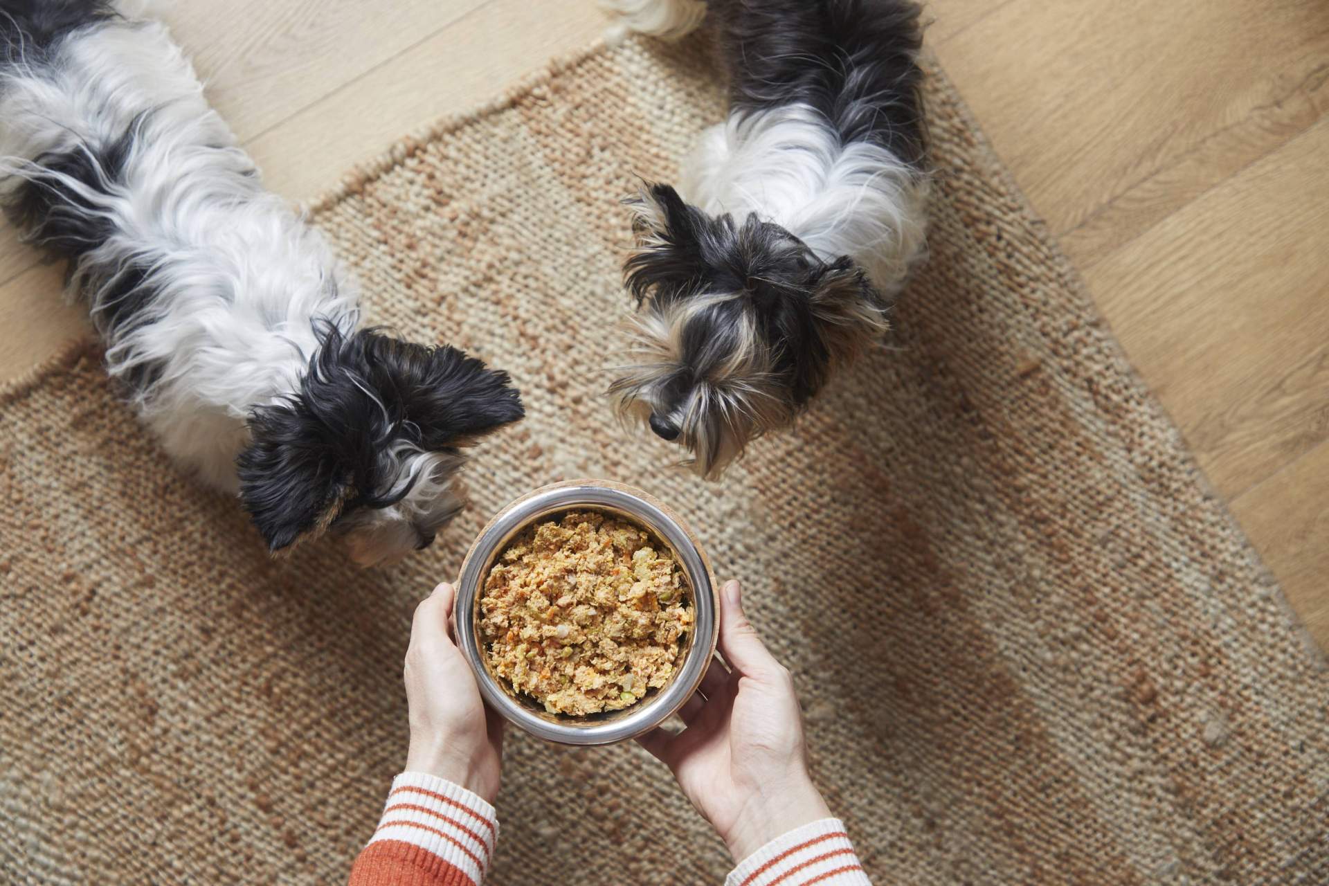Las diferencias entre la comida natural cocinada para perros y la dieta BARF