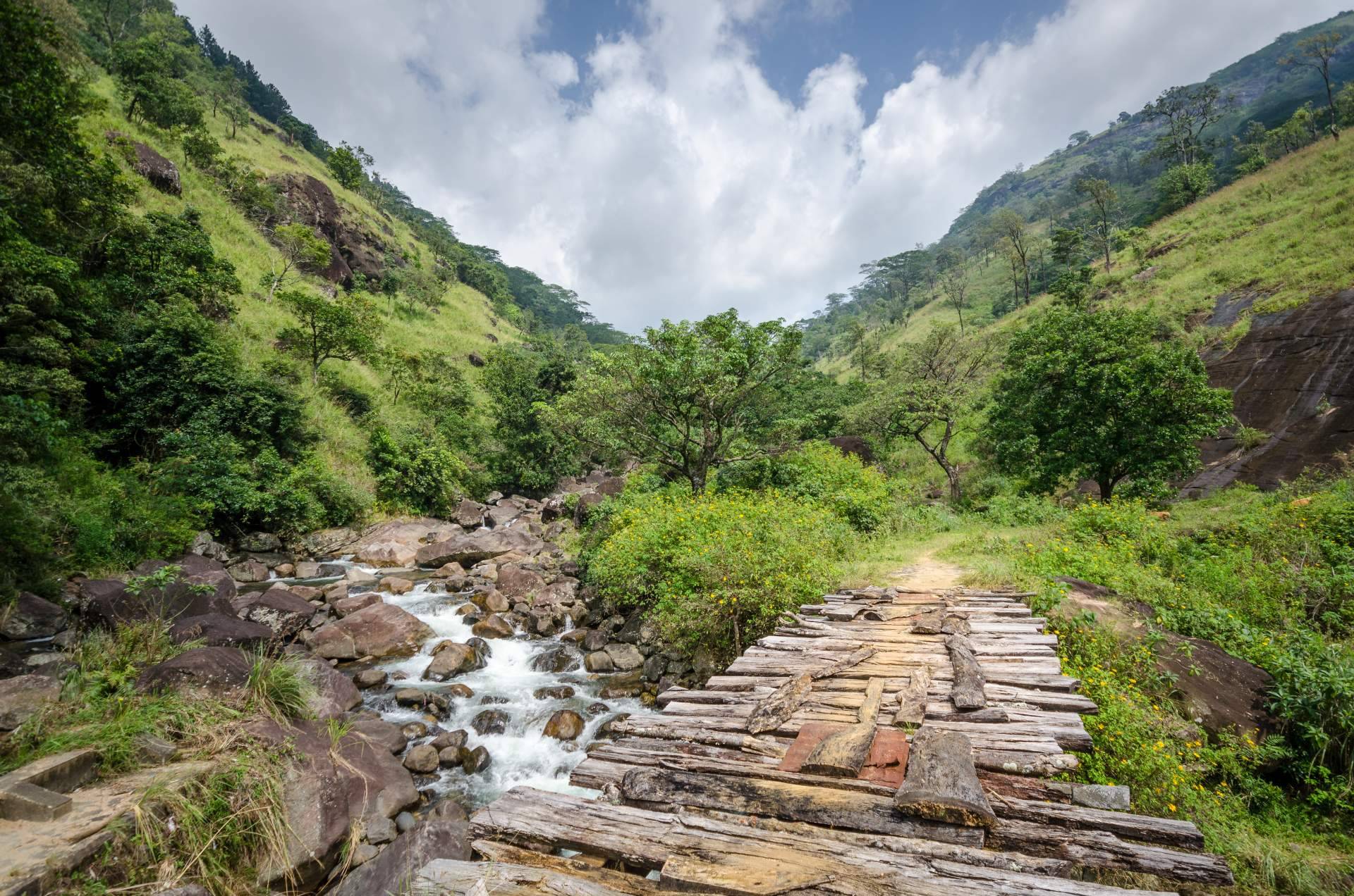 La agencia especializada en viajes a Sri Lanka, Viajes Edén, recomienda visitar Knuckles
