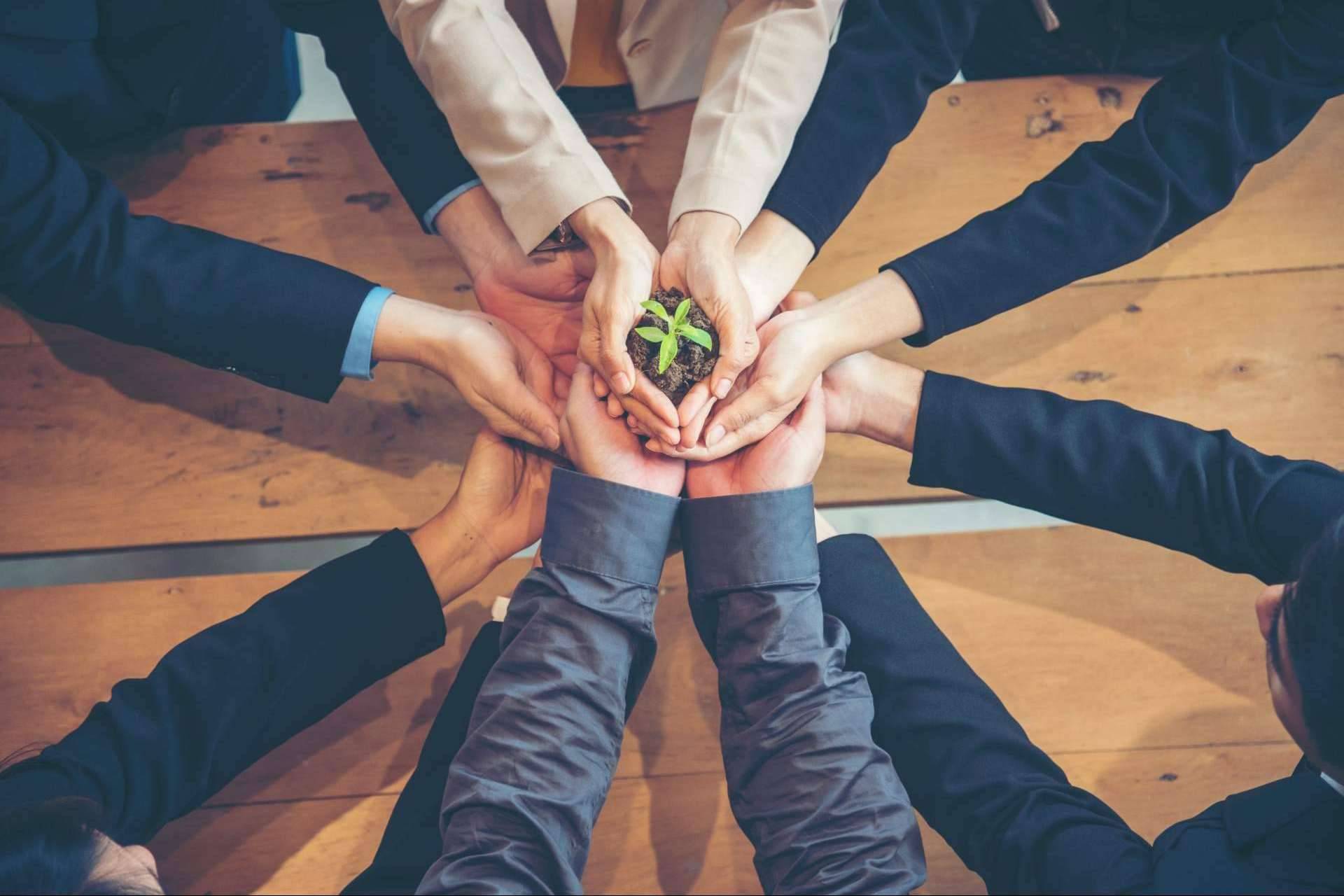 Tarjetas digitales de networking, la solución de la firma Bhybrid para la transformación digital sostenible de las organizaciones