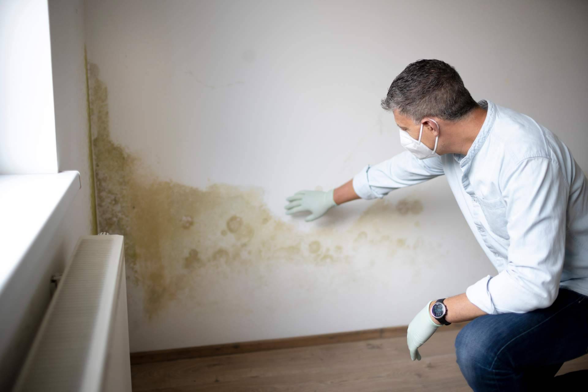 ¿Por qué Aquapol es importante para la salud de un inmueble?