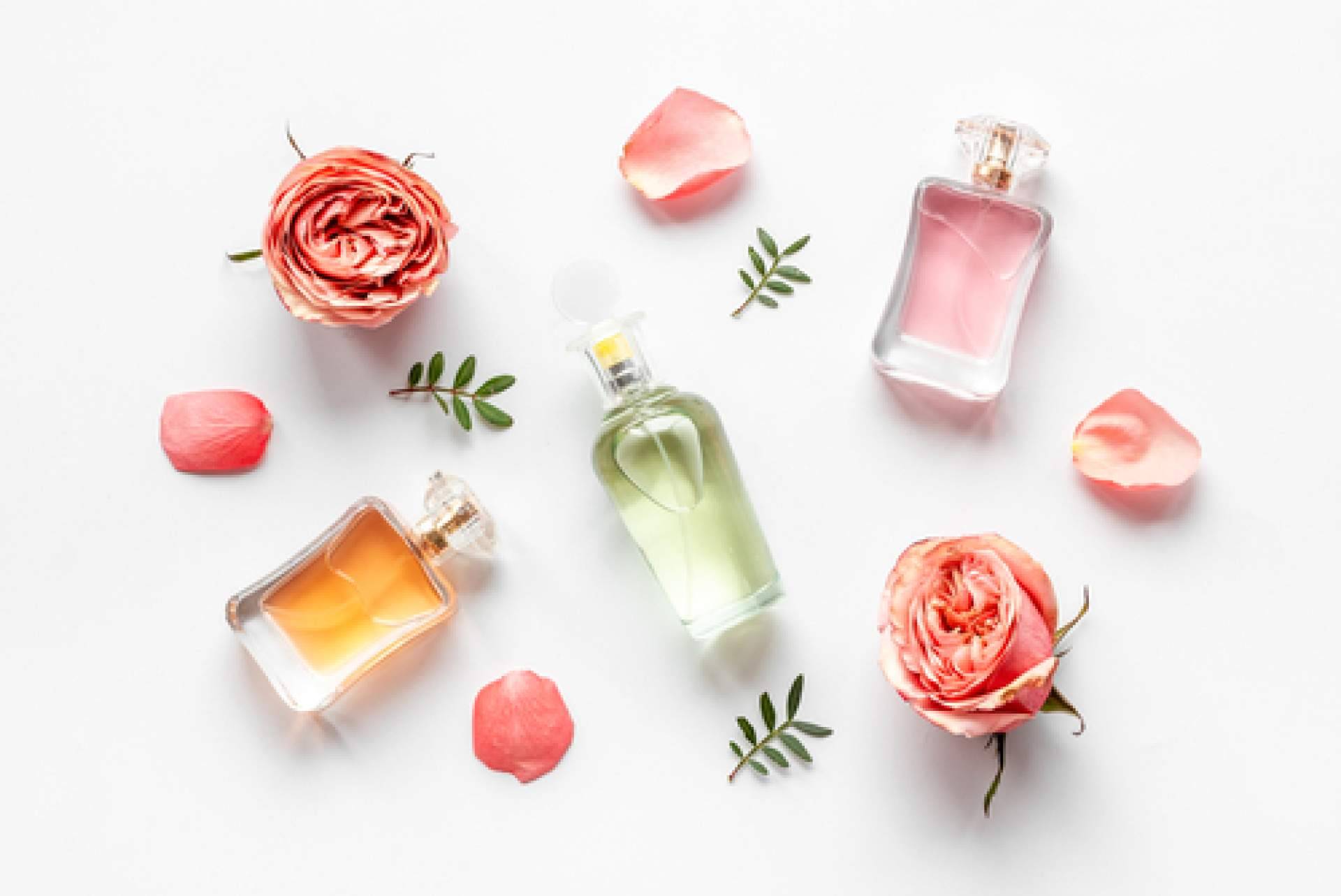 Divainparfums ofrece un amplio catálogo de perfumes de equivalencia
