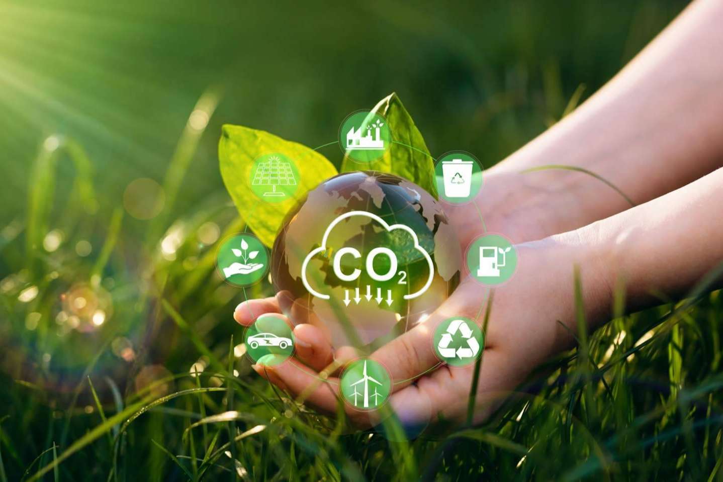 La plataforma ESGeo ayuda a reducir la huella de carbono en las empresas