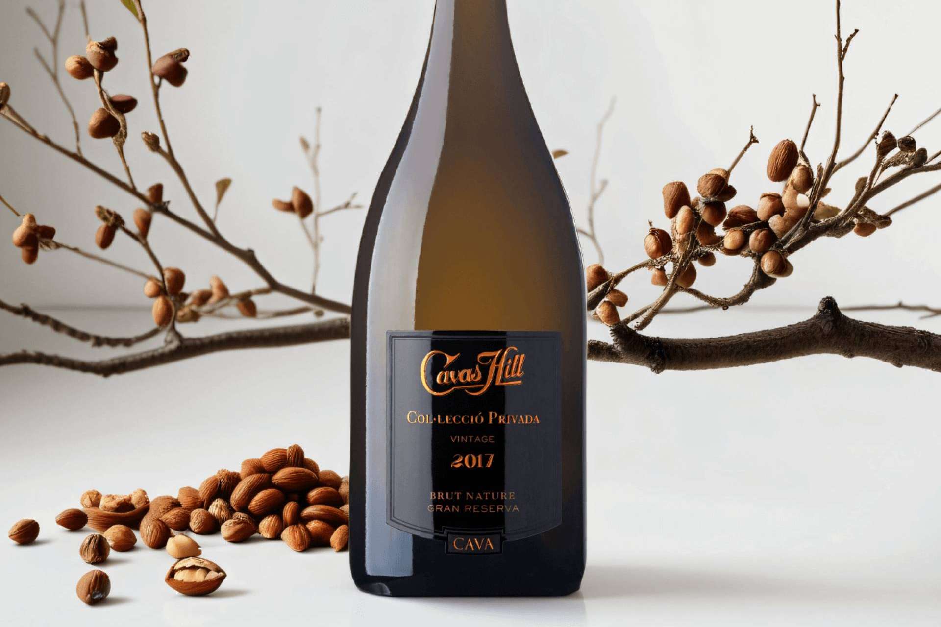 El cava de Hill, Col·lecció Privada, 91 puntos Tim Atkin