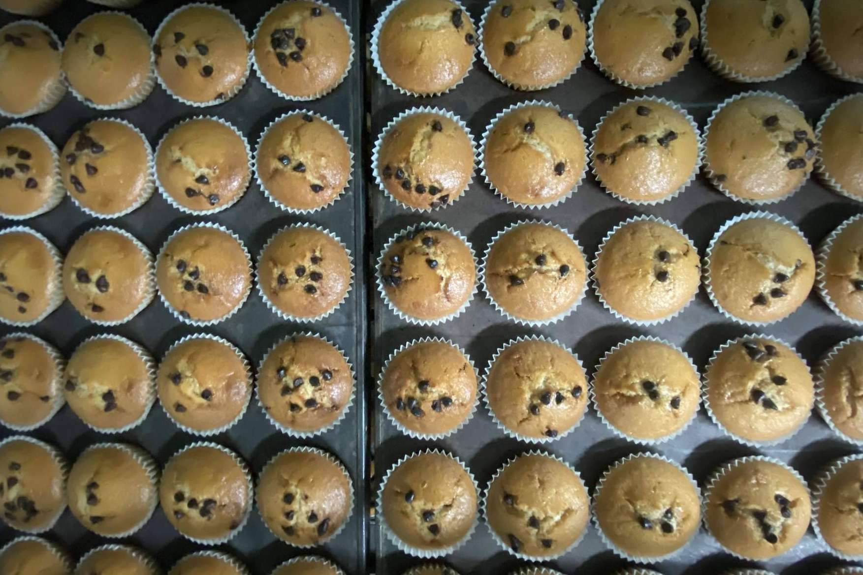 Veggie Maai, uno de los fabricantes de repostería vegana más importantes de España