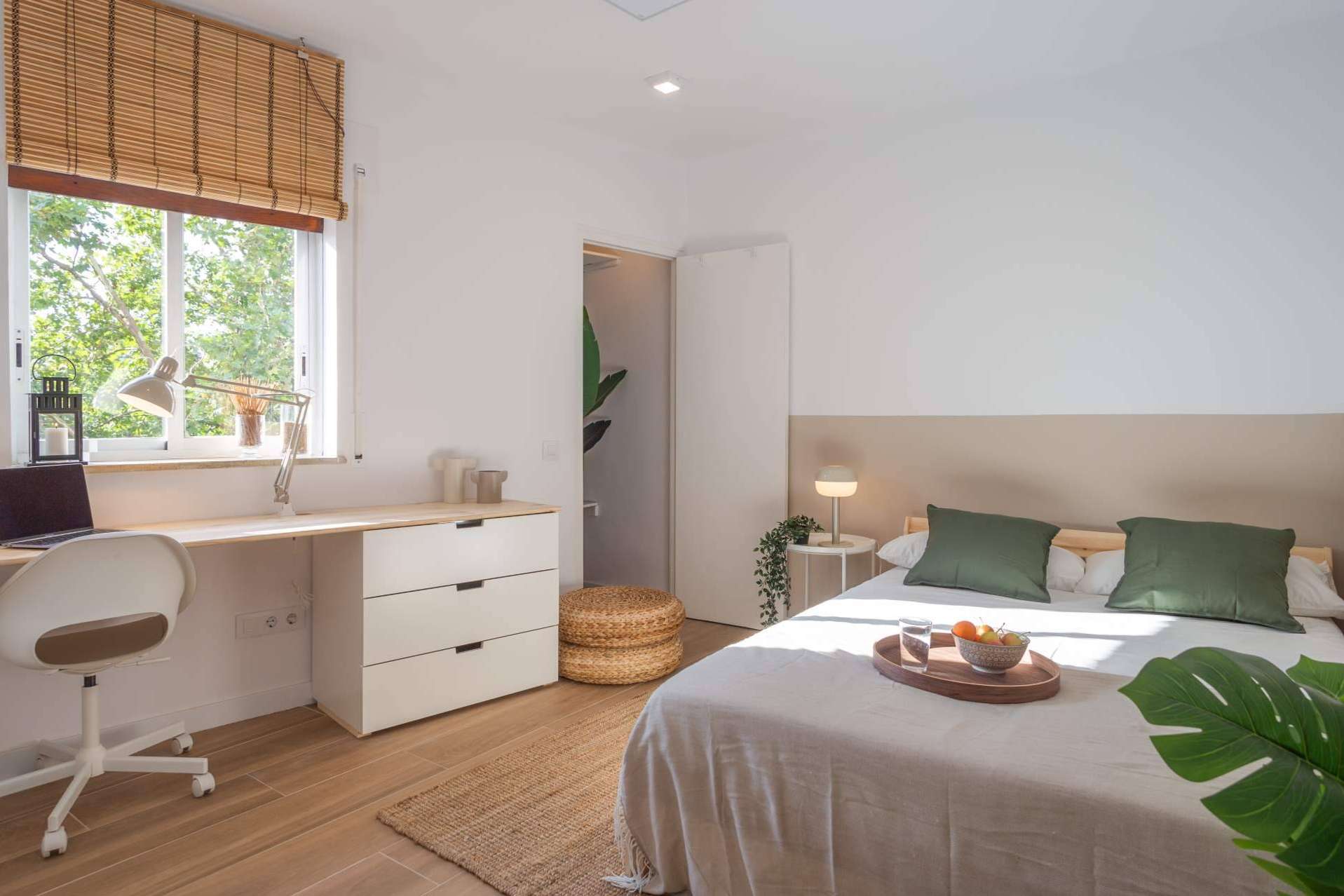 Haaus Coliving, una startup de coliving de referencia en España