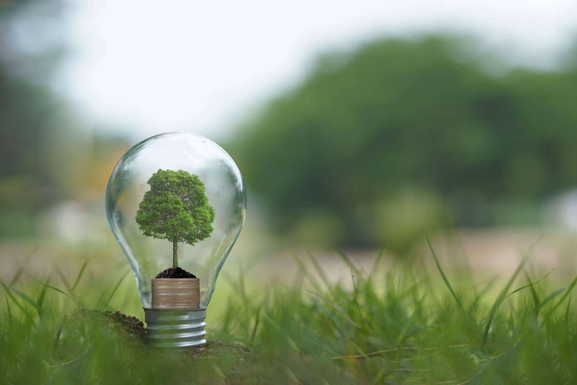 ¿Empresa comprometida con el medioambiente? consigue el triple sello del MITECO con CO2 GESTIÓN