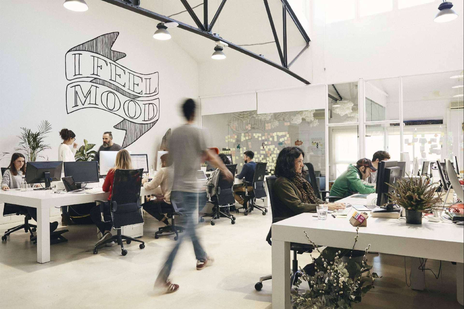 Cómo es el proceso de creación de una marca desde la visión experta de The Mood Project