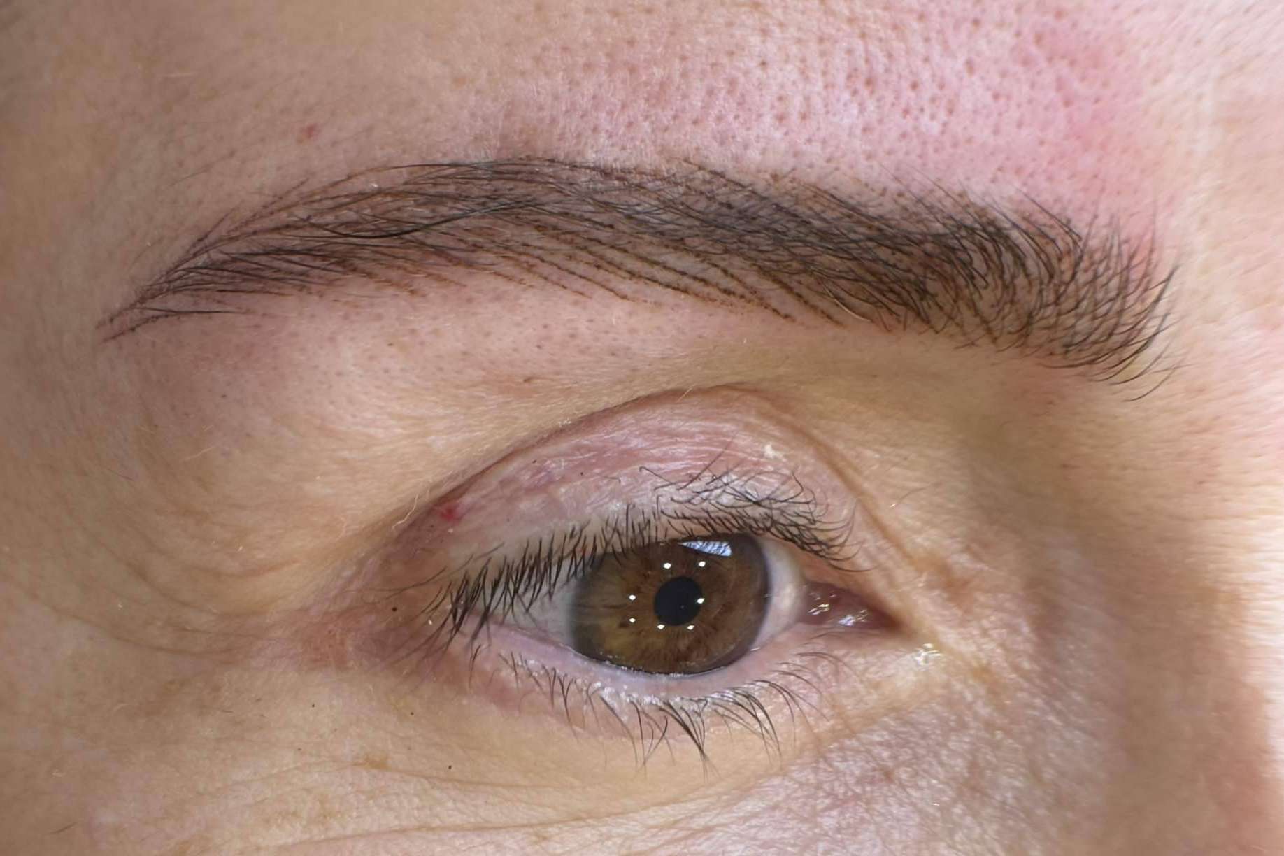 Tebori Brows asegura resultados de calidad en tratamientos de Microblading y Micropigmentación