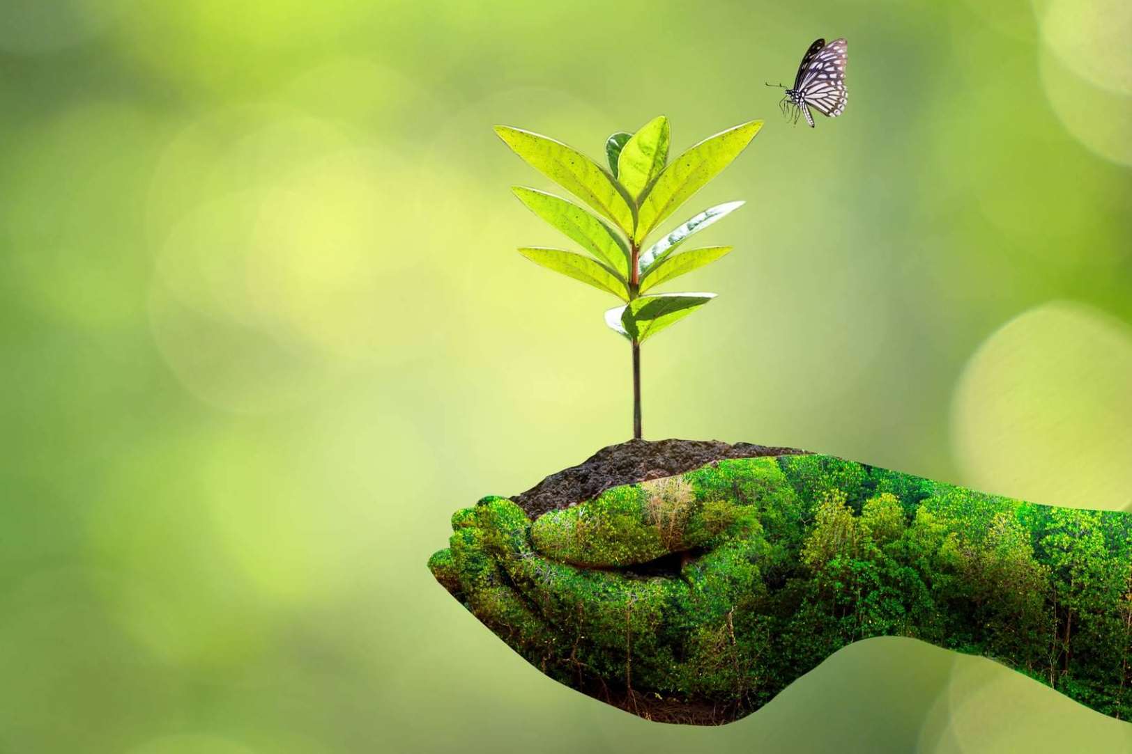 ECOticias.com suma millones de lectores mensuales con contenidos medioambientales en castellano e inglés