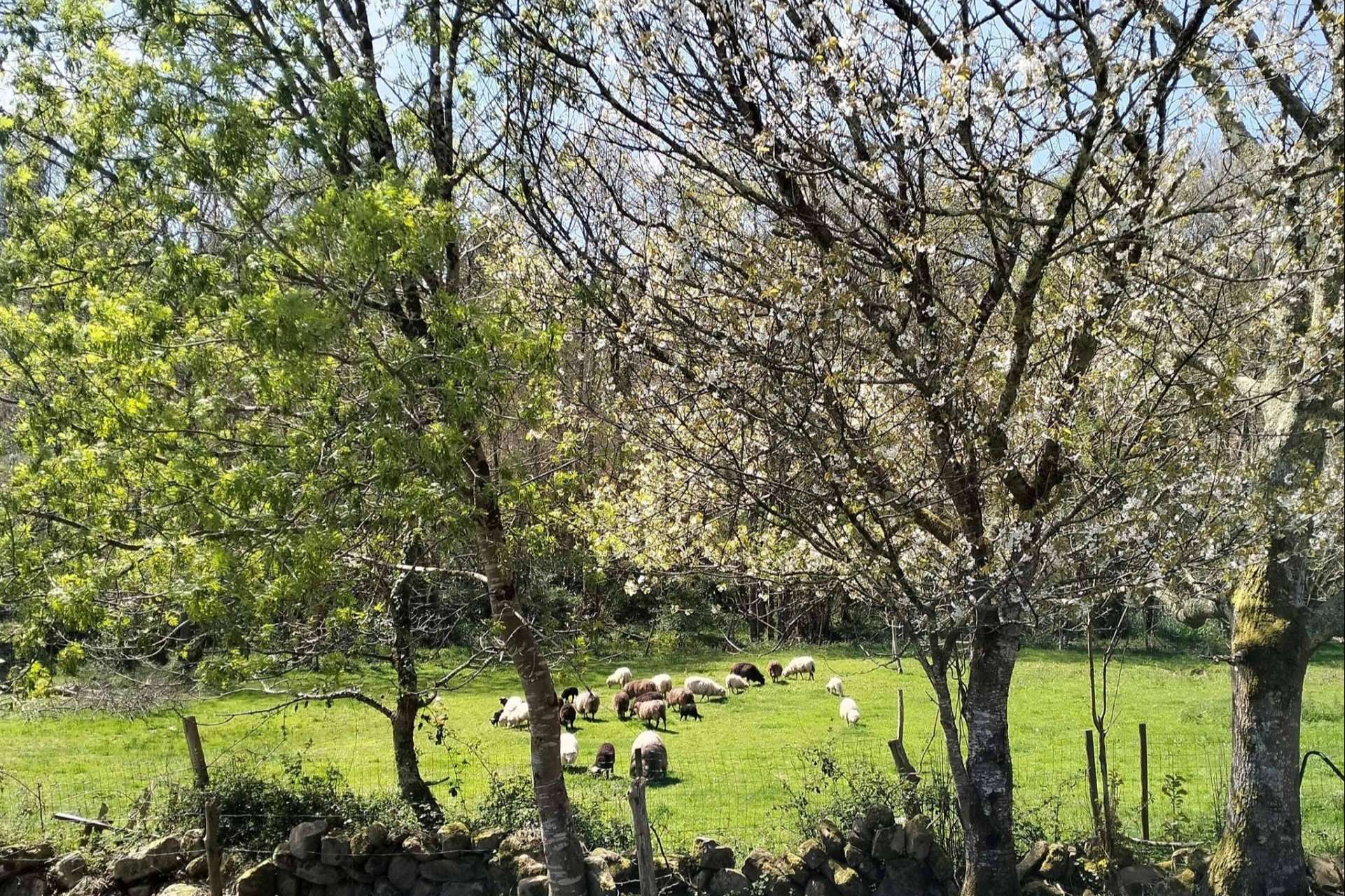 Les Mariñes de Villaviciosa; 30 años de ecoturismo y sostenibilidad