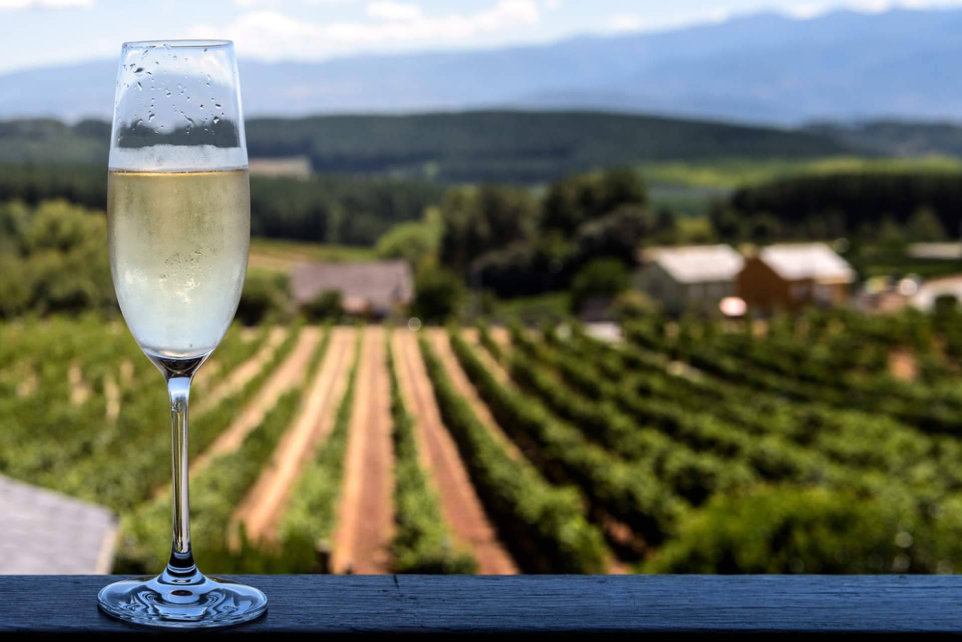 Los cavas galardonados de Montesquius y Robert J. Mur, al alcance en Naturelovers Wines
